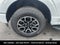 2023 Ford F-150 XLT 4WD