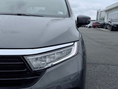 2024 Honda Odyssey Elite